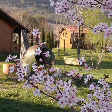 Apartamentos Rurales El Rincon Del Jerte Rebollar  Dış mekan fotoğraf