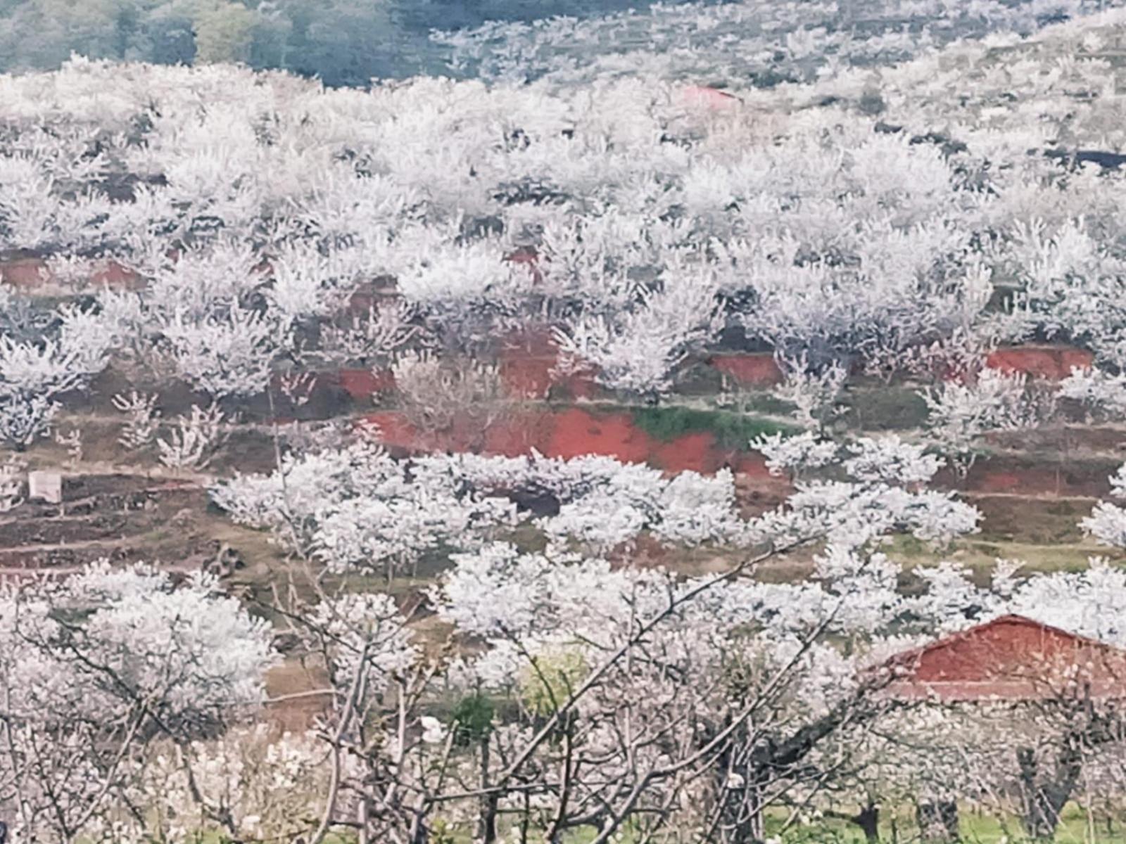 Apartamentos Rurales El Rincon Del Jerte Rebollar  Dış mekan fotoğraf