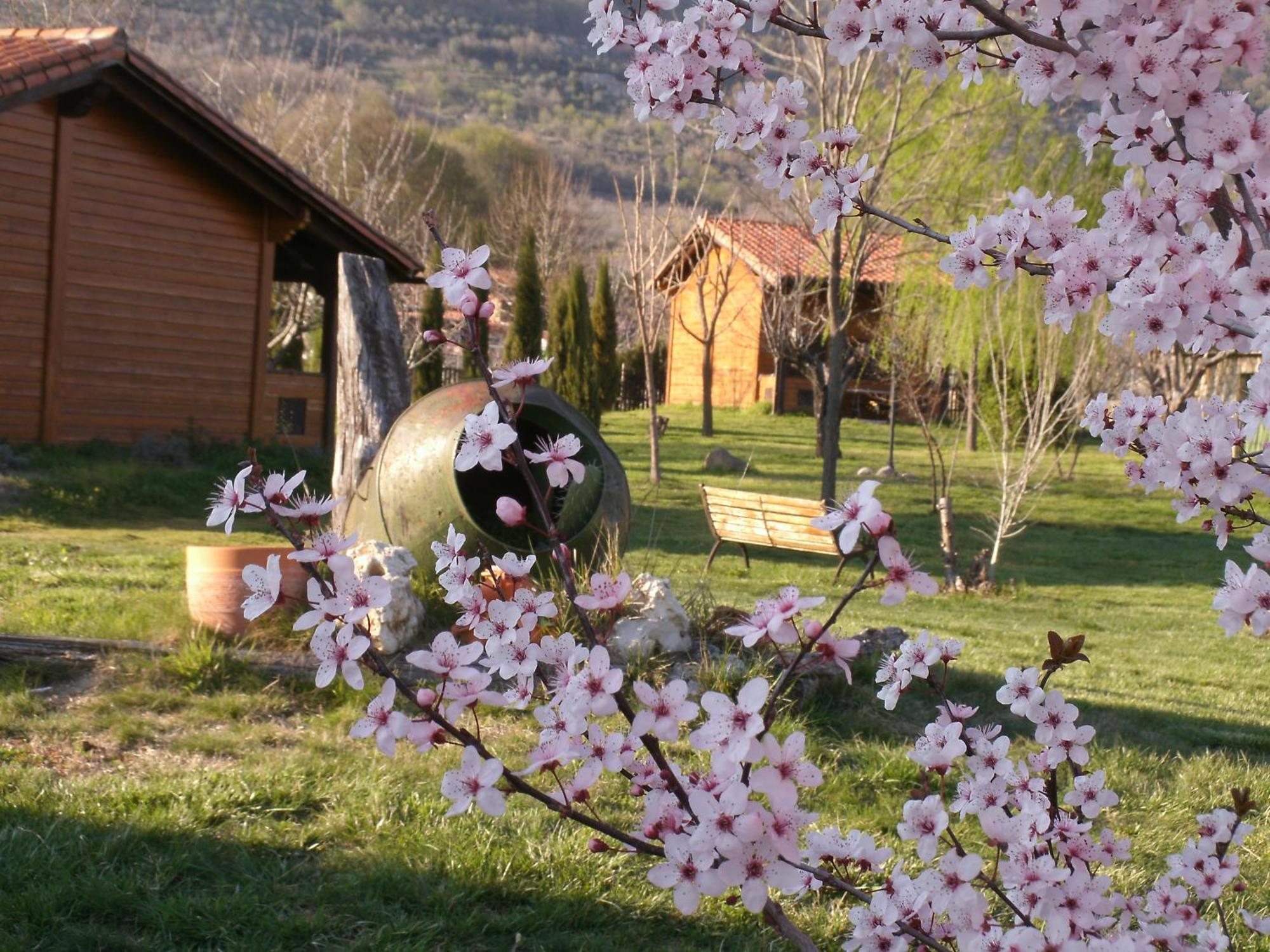 Apartamentos Rurales El Rincon Del Jerte Rebollar  Dış mekan fotoğraf