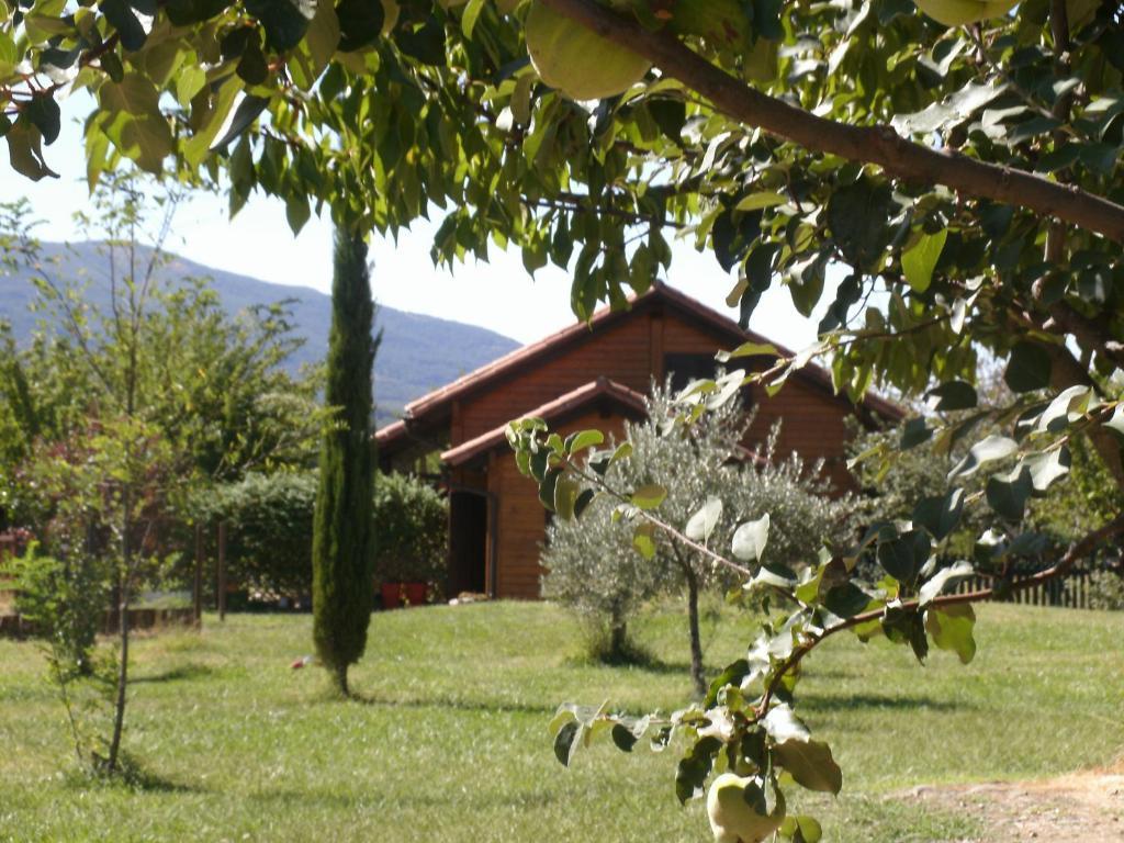 Apartamentos Rurales El Rincon Del Jerte Rebollar  Dış mekan fotoğraf